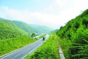濟寧護坡草種找哪家