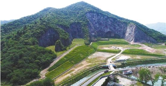 礦山復綠草種有哪些