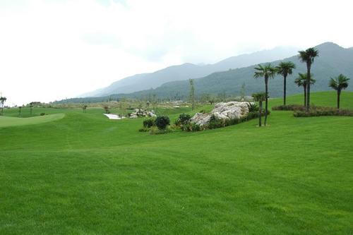 成都市混播草種批發價格