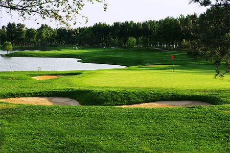 混播草坪種子批發市場