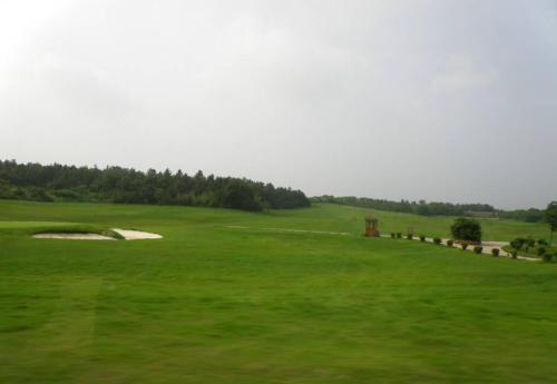 混播草籽哪幾種混播好