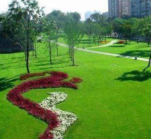 混播草籽一畝播多少斤？