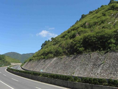 高速公路護坡用什么草種好