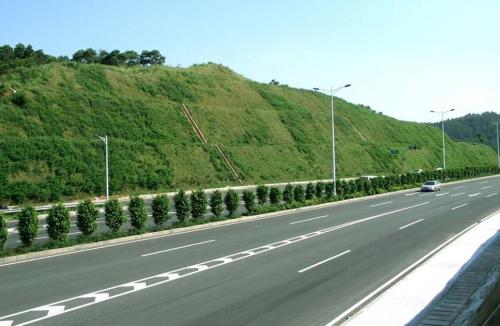 高速公路護坡用什么草種好