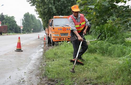 公路兩旁用什么草種既保持水土流失又美觀