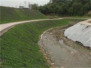 濟寧河堤護坡用什么草種