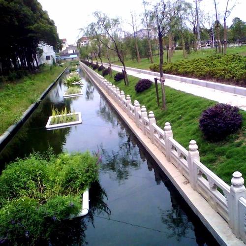 濟寧河堤護坡用什么草種