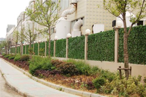 濟寧廠區綠化種植什么草坪好