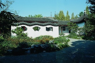院子里適合種什么草坪草種