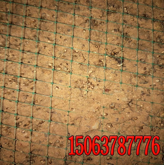 邊坡綠化草種與肥料的比例