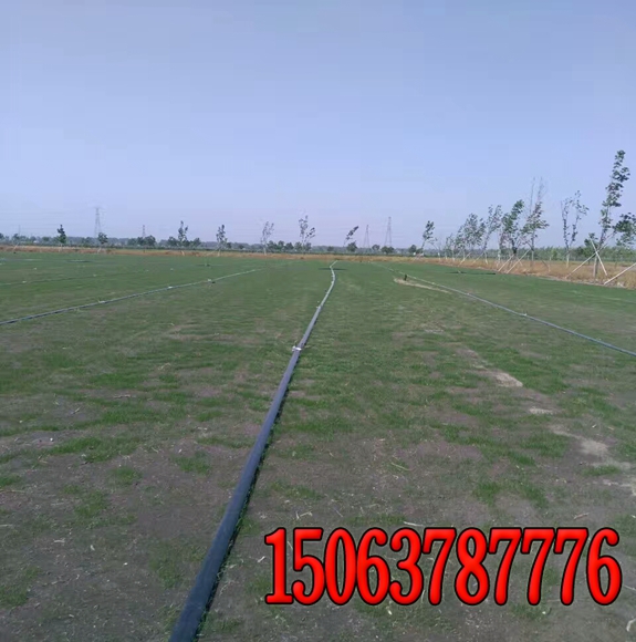 公路工程 護坡噴灑草籽單價