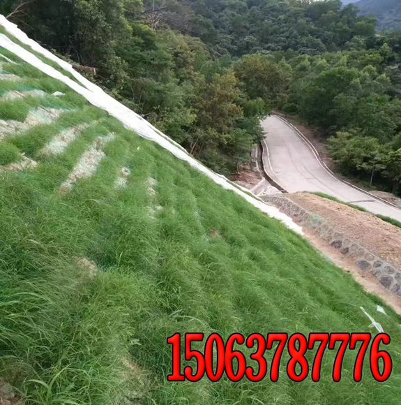 水利水電草籽護坡評定表