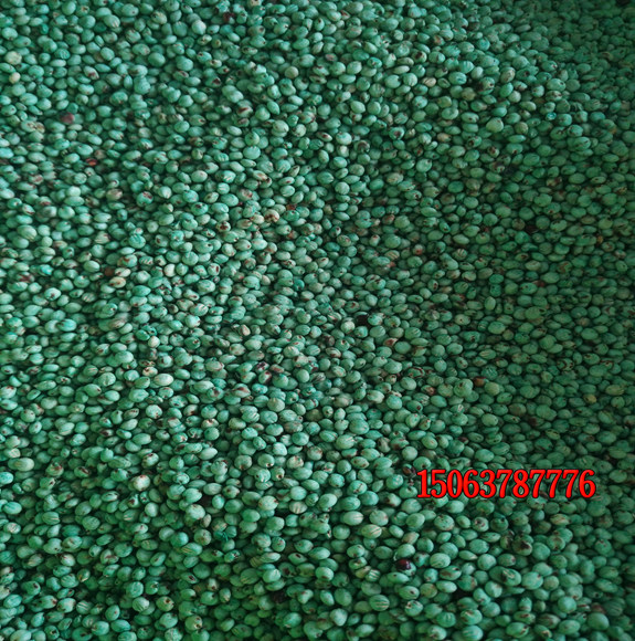 購買綠化護坡草種子應該注意什么？