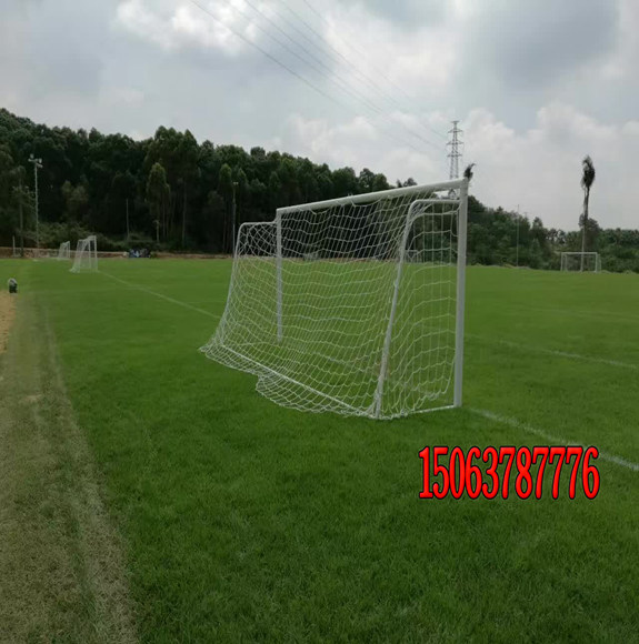 足球場草坪怎么養護？
