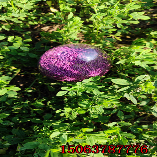 苜蓿草籽用處？