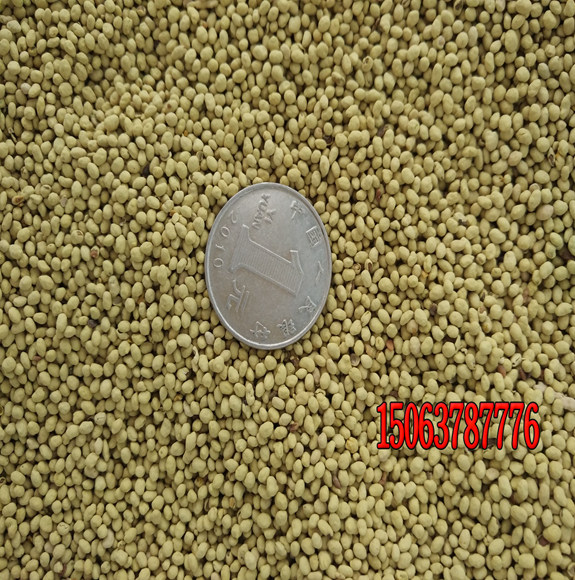 影響草坪種子質量的主要因素是什么？
