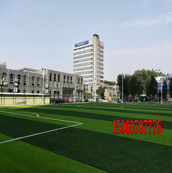 什么草坪種子適合種在樓頂種植？