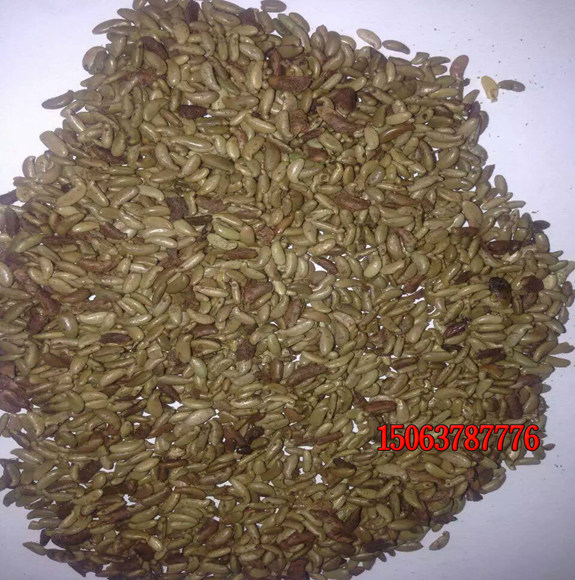 怎樣購買草籽？