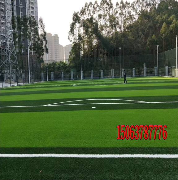 北方足球場用什么草坪種子？