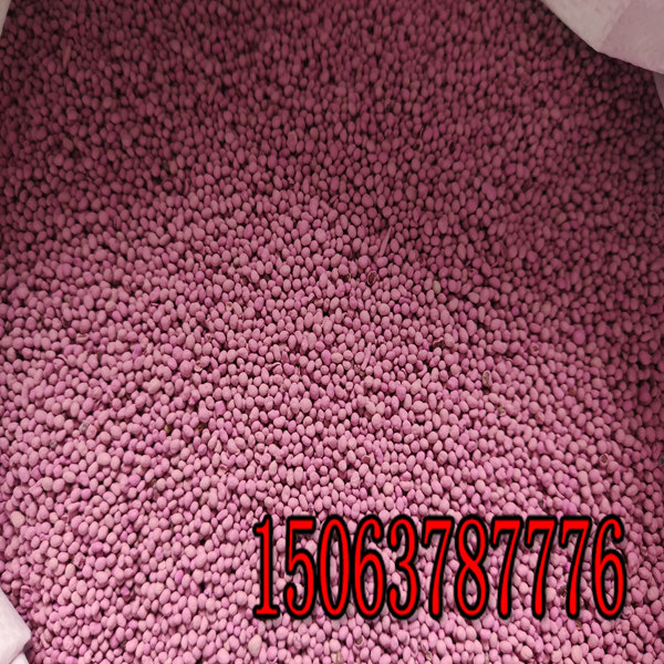 苜蓿草籽一斤多少錢