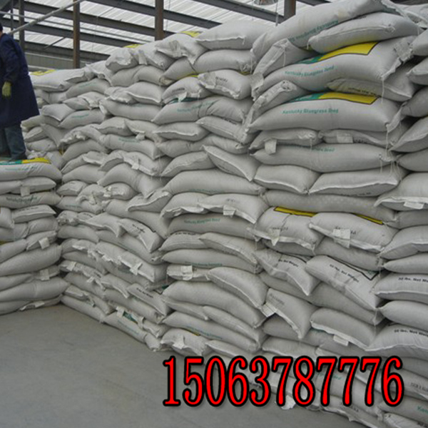 紫花苜蓿草籽兒多少錢一斤