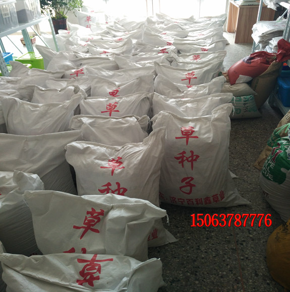 黑麥草草籽多少錢一斤？