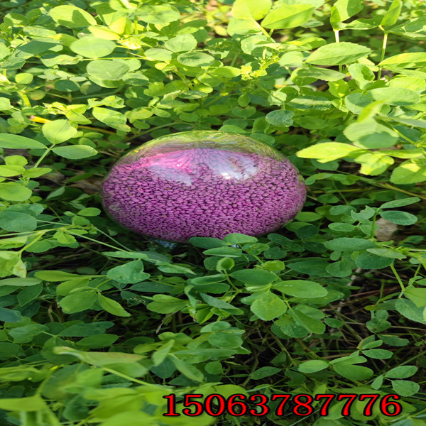 一公頃苜蓿草籽播種多少量
