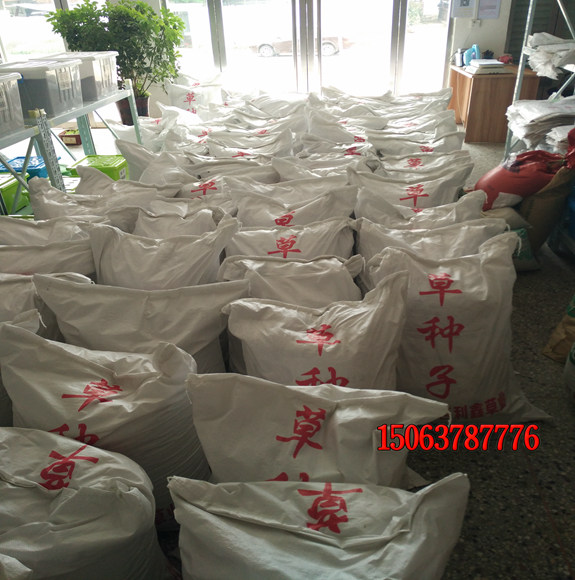 如何選擇合適的綠化草坪種子？