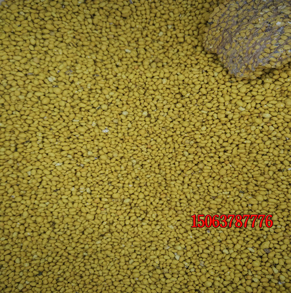 常見的暖季型和冷季型草坪有哪些？