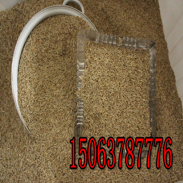 濟南綠化種植草種子