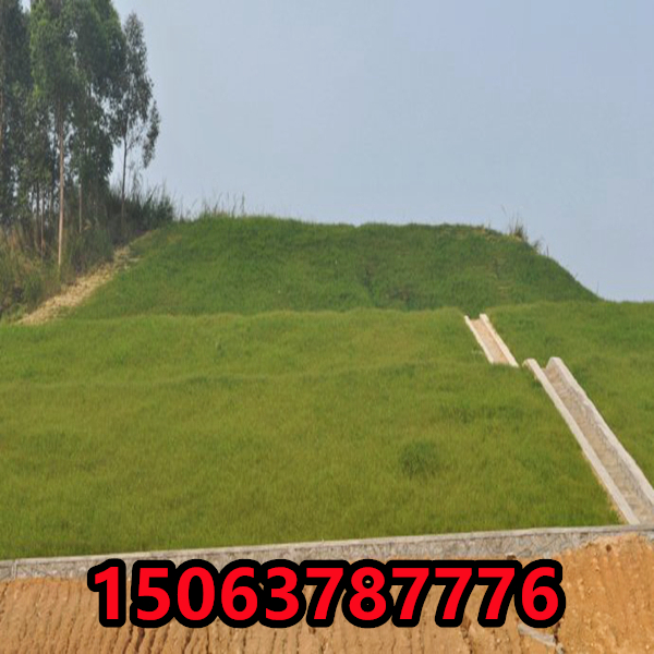 護坡草籽一斤能噴多少平方？