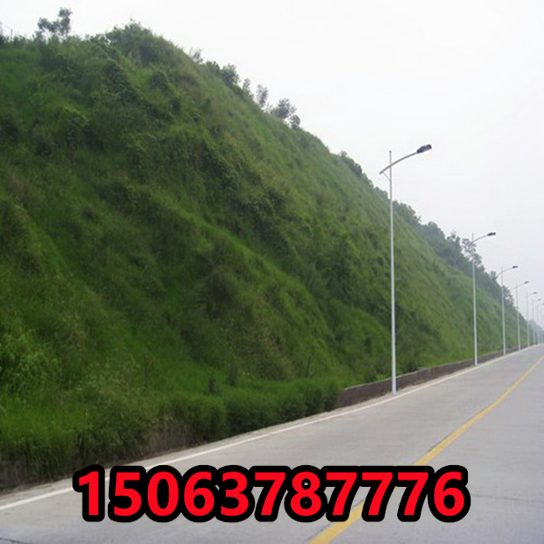 河道護坡綠化廠家