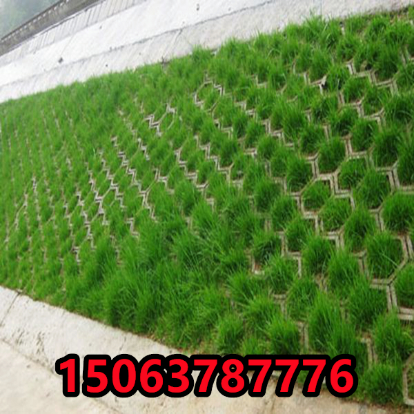礦區適合種什么草籽
