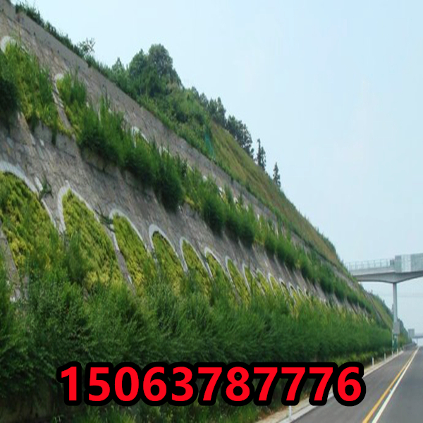 粘性土壤種什么草籽